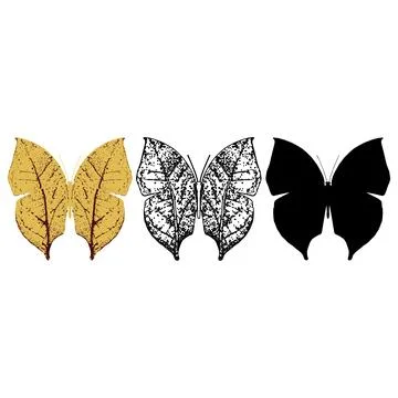 Vector illustration of Butterfly Pattern Stock Illustration