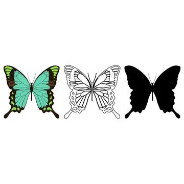 Vector illustration of Butterfly Pattern Stock Illustration