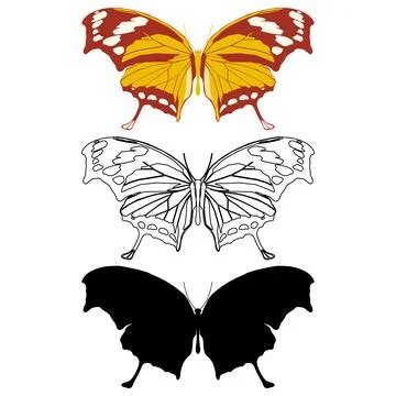 Vector illustration of Butterfly Pattern Stock Illustration
