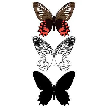 Vector illustration of Butterfly Pattern イラスト素材