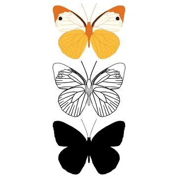 Vector illustration of Butterfly Pattern Stock Illustration