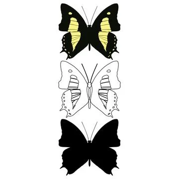 Vector illustration of Butterfly Pattern Stock Illustration