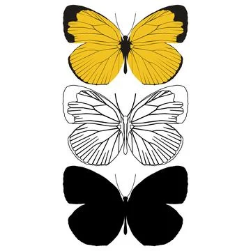 Vector illustration of Butterfly Pattern Stock Illustration
