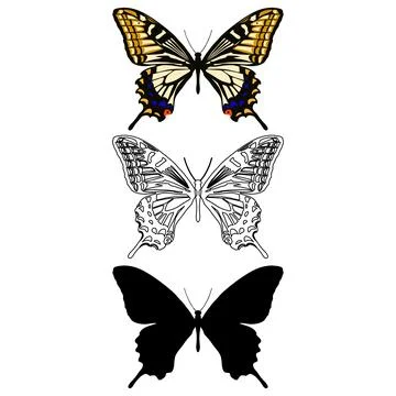 Vector illustration of Butterfly Pattern Stock Illustration