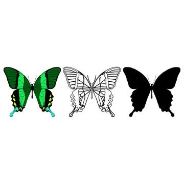 Vector illustration of Butterfly Pattern Stock Illustration