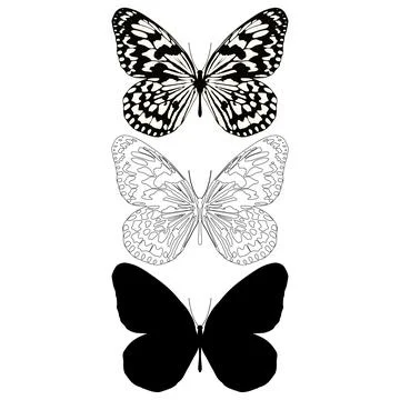 Vector illustration of Butterfly Pattern Stock Illustration