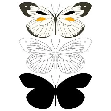 Vector illustration of Butterfly Pattern Stock Illustration