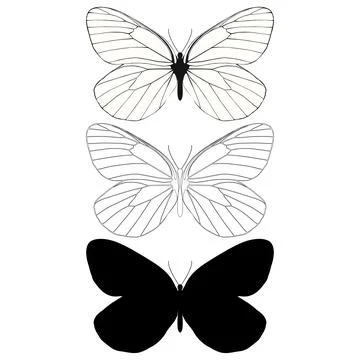 Vector illustration of Butterfly Pattern Stock Illustration