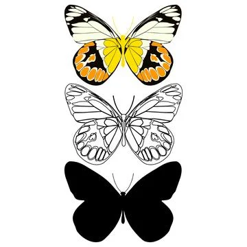 Vector illustration of Butterfly Pattern Stock Illustration