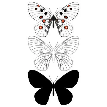 Vector illustration of Butterfly Pattern Stock Illustration