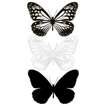 Vector illustration of Butterfly Pattern Stock Illustration