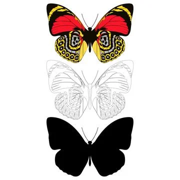 Vector illustration of Butterfly Pattern Stock Illustration