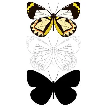 Vector illustration of Butterfly Pattern Stockillustratie