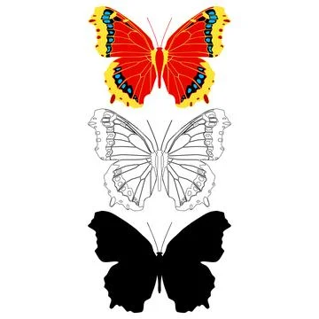 Vector illustration of Butterfly Pattern Stock Illustration