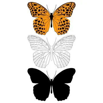 Vector illustration of Butterfly Pattern Stock Illustration