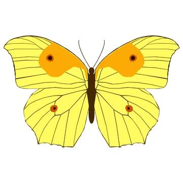 Vector illustration of Butterfly Pattern Stock Illustration