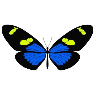 Vector illustration of Butterfly Pattern Stock Illustration