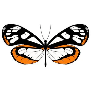 Vector illustration of Butterfly Pattern Stock Illustration