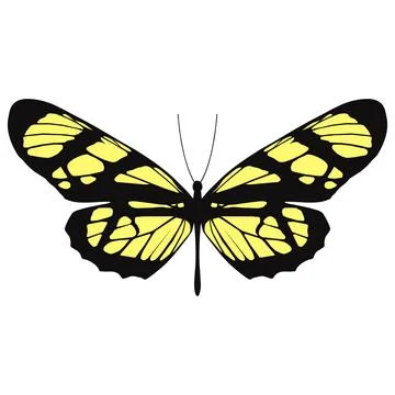 Vector illustration of Butterfly Pattern Illustrazione stock