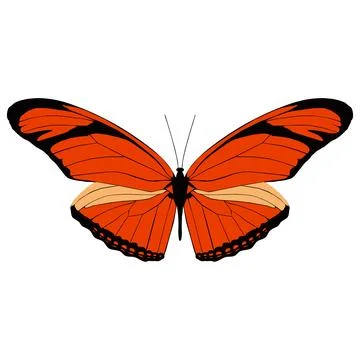 Vector illustration of Butterfly Pattern Stockillustratie