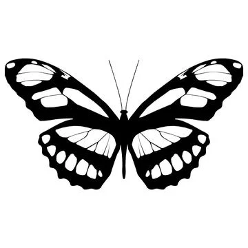 Vector illustration of Butterfly Pattern Stock Illustration