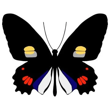 Vector illustration of Butterfly Pattern Stock Illustration