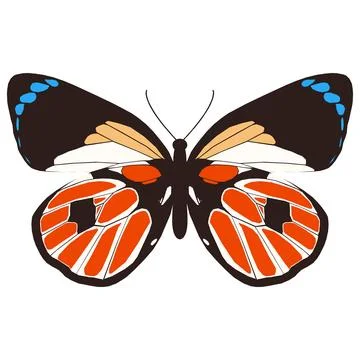 Vector illustration of Butterfly Pattern Stock Illustration