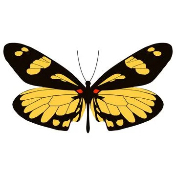 Vector illustration of Butterfly Pattern Stock Illustration