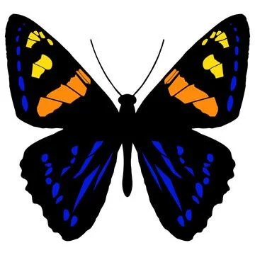 Vector illustration of Butterfly Pattern Stock Illustration