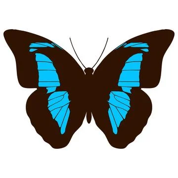 Vector illustration of Butterfly Pattern Stock Illustration