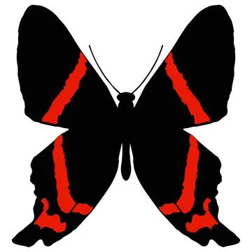 Vector illustration of Butterfly Pattern Stock Illustration