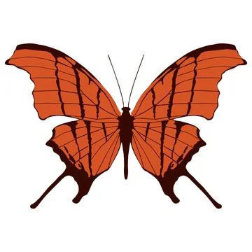 Vector illustration of Butterfly Pattern Stock Illustration