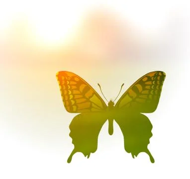 Vector illustration of a butterfly in the style of double exposure. Greetings to Stock Illustration