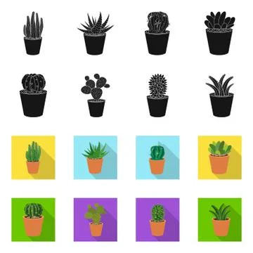 Vector illustration of cactus and pot sign. Collection of cactus and cacti stock Stock Illustration