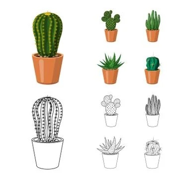 Vector illustration of cactus and pot logo. Collection of cactus and cacti stock イラスト素材