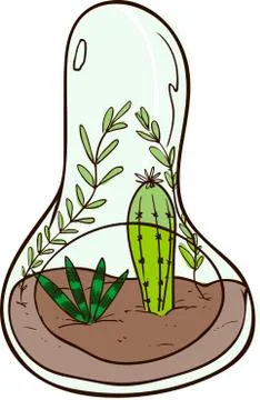 Vector illustration of a Cactus flower, cactus isolated Stock Illustration