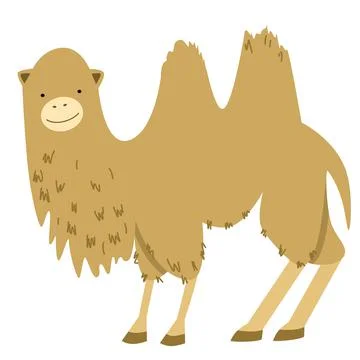 Vector illustration of a camel in a flat style Stock Illustration