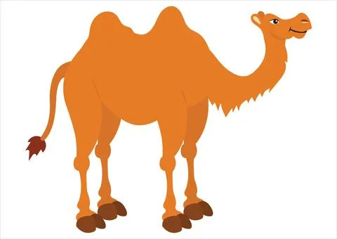 Vector Illustration of Camel isolated on white background. Clipart Camel Stock Illustration