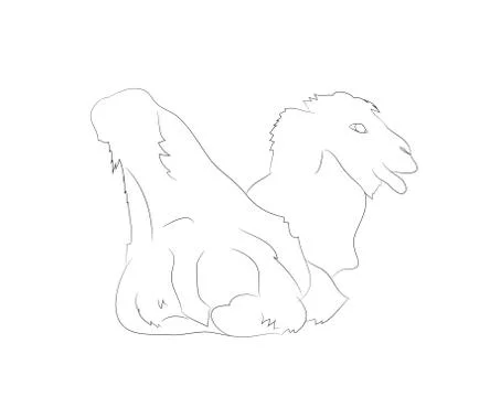 Vector illustration of a camel that lies, drawing by lines Stock-Illustration