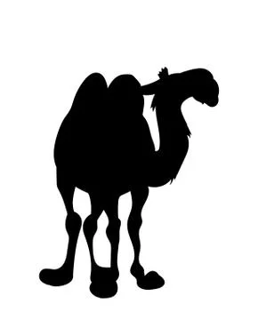 Vector illustration of a camel standing, drawing silhouette, vector Stock Illustration