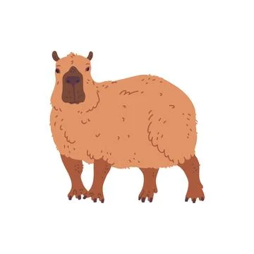 Vector illustration of a capybara on an isolated background. Stock Illustration