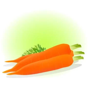 Vector illustration of a carrot Stock Illustration