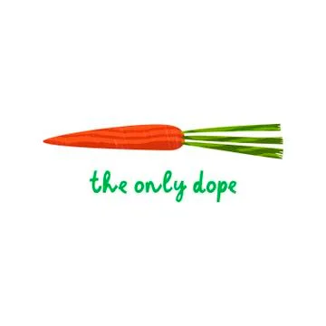 Vector illustration of carrot Stock Illustration
