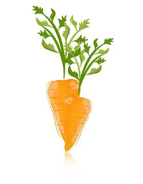 Vector illustration of carrot Illustrazione stock