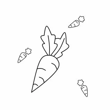 Vector illustration Carrot linear icon. Agricultural crops, vegetables. Vegetari Stock Illustration