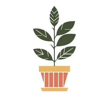 Vector illustration in cartoon flat style. Large natural houseplant. Beautiful Stock Illustration