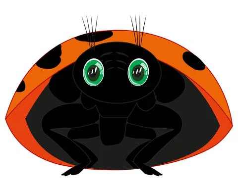 Vector illustration of the cartoon insect ladybug Stock Illustration