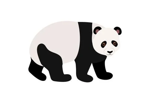 Vector illustration of cartoon panda isolated on white background Stock Illustration
