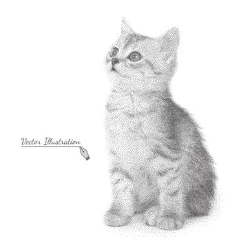 Vector illustration cat in black and white graphic style Stock Illustration