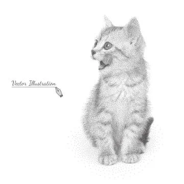 Vector illustration cat in black and white graphic style Stock Illustration